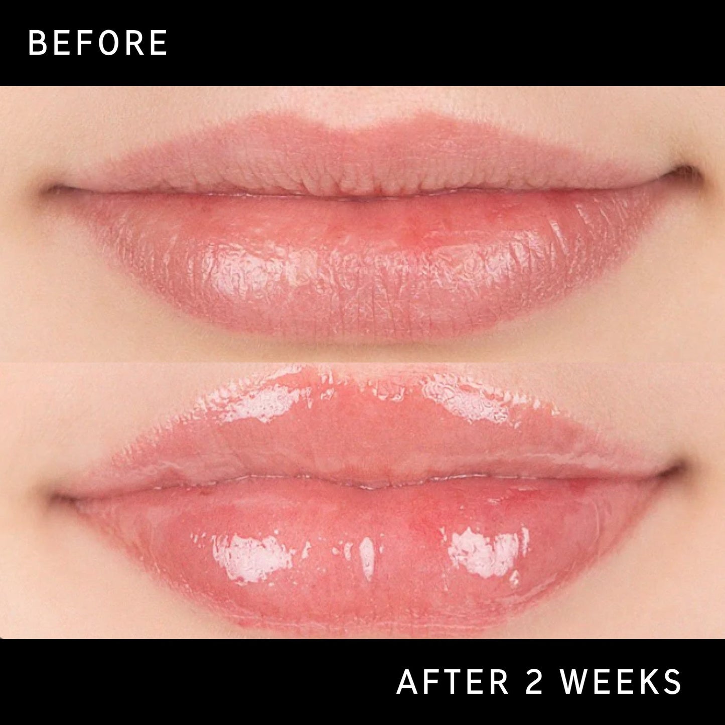 tripeptide-plumping-lip-balm-l9 DTC-Top15_Amends_Tripeptide-Lip_B_A.jpg